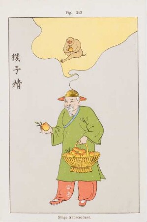 Fig. 213. Singe transcendant