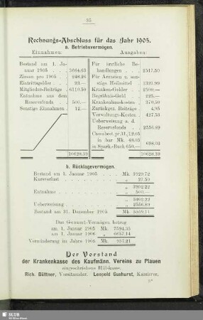 Rechnungs-Abschluss für das Jahr 1905