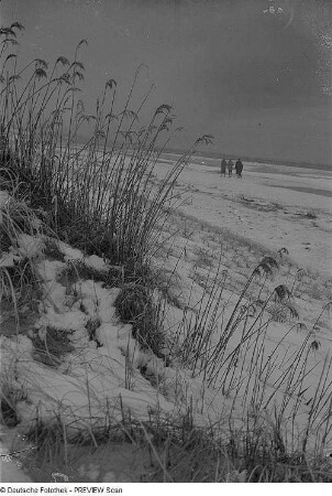 Darß. Drei Spaziergänger am winterlichen Strand