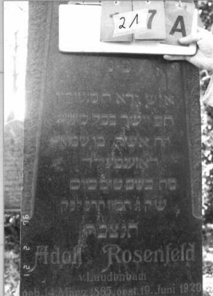 Grabstein 21 (Index: 100116109) Material: Granit, teilweise poliert Zustand: gut Maße HxBxT: 200x55x26 cm Beschreibung: aufgesockelte Stele mit rechteckig erhöhtem, giebelartigem Abschluß Symbolik: Palmenzweige: Grabstein 21A (Detailaufnahme)