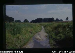 Rückhaltebecken Mühlenbach, Sinstorf