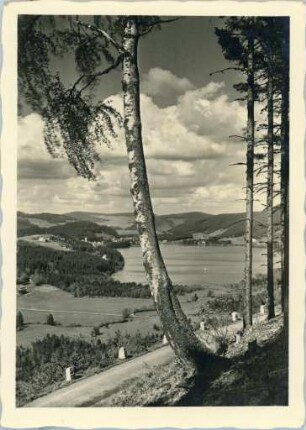 Titisee im Schwarzwald (848 mtr. ü. M.)