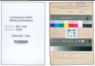 Entnazifizierung Theo Odendahl , geb. 21.06.1901 (Stadtinspektor)