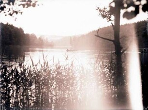 Blumenthal: Gamensee, Vordergrund Schilf, dahinter Boot