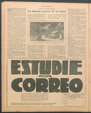 La azarosa cacería de las focas : Por las regiones árticas