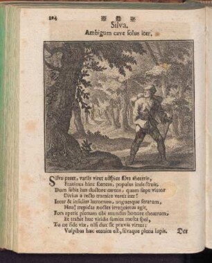 Silva - Der Wald