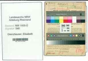 Entnazifizierung Elisabeth Grenzheuser , geb. 21.04.1898 (Lehrerin)