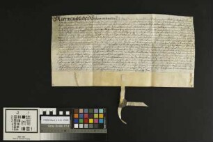 Gonsenheim: Testament Valentins Fraut über Weingärten zu Gonsenheim