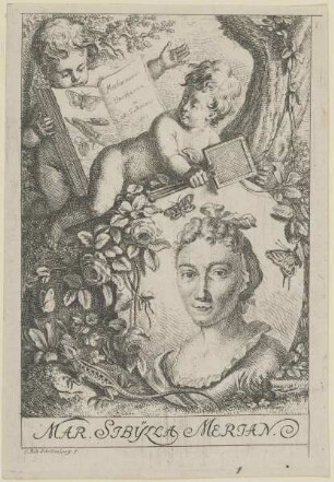 Bildnis der Mar. Sibylla Merian