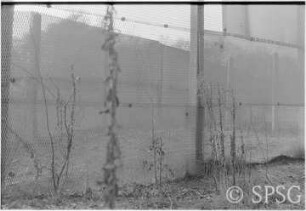 Mauerfall, Potsdam, Klein Glienicke, Grenzanlage.
