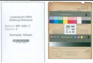 Entnazifizierung Wilhelm Schmelzle , geb. 09.03.1908 (Techniker)
