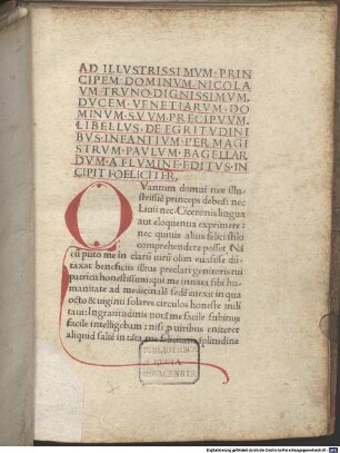 De aegritudinibus et remediis infantium : mit Widmungsbrief des Autors an den Dogen Nicolaus Tronus