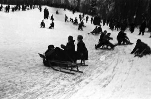 Berlin; Wilmersdorf: Schnee in Berlin; Rodelbetrieb im Stadtpark