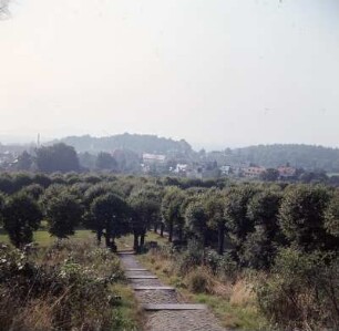 Herrnhut. Gottesacker : Herrnhut. Blick über den Stammort der Herrnhuter Brüdergemeine mit dem Gottesacker im Vordergrund