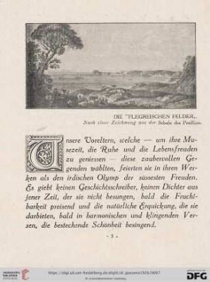 Die "Fliegreischen Felder"