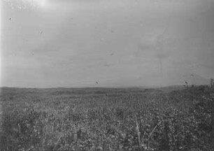 Virunga-Vulkane (Sammlung Hans Meyer - Herzog-Adolf-Friedrich-Expedition 1907–1908)