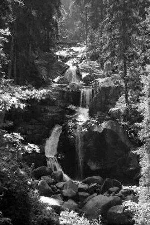 Triberg: Triberger Wasserfälle