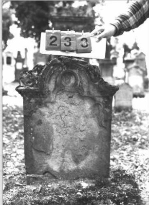 Grabstein 233 (Index: 99788203) Material: Sandstein Zustand: verwittert mit vollständigem Textverlust Maße HxBxT: 84x54x13 cm Symbolik: florale Motive: Grabstein 233