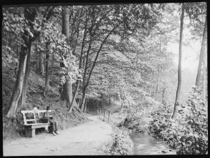 Radebeul. Lößnitzgrund