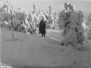 Thüringen, Rennsteig : Thüringen. Rennsteig. Winteraufnahme