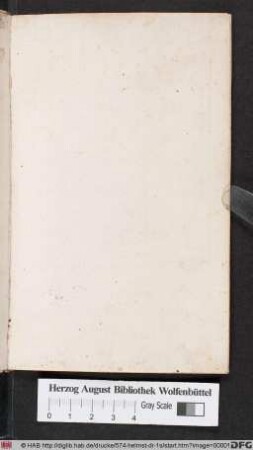 Helmstadienses Literæ : Ex Parvis Punctis. Helmstadienses Vocales Quinque Investigatæ