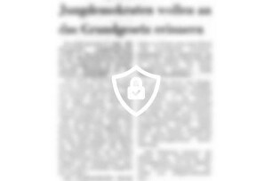 Jungdemokraten wollen an das Grundgesetz erinnern