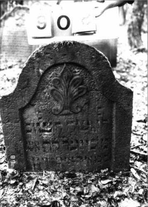 Grabstein 908 (Index: 99753228) Material: Sandstein Zustand: leicht verwittert/Stele eingesunken Maße HxBxT: 58x54x9 cm Beschreibung: Stele, eingezogener Rundbogenabschluß, Schriftfeld eingetieft Symbolik: Muschel: Grabstein 908