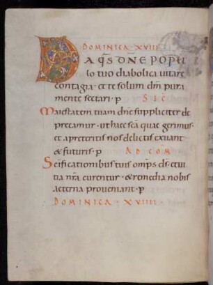 Zierinitiale / Randleisteninitiale mit Rankenbesatz: D(a quaesumus domini populo tuo diabolica)
