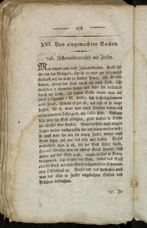 XVI. Von eingemachten Sachen