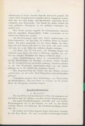 Geschlechtsorgane.