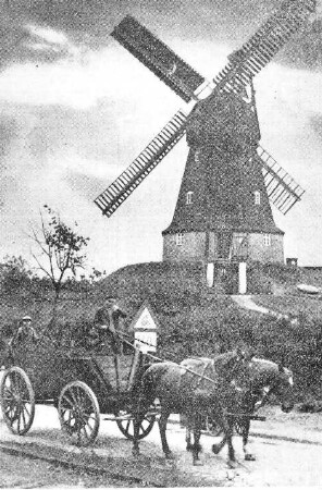 Jerichow. Mühle Wiere, Holländermühle, vor 1945, Repro