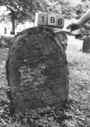 Grabstein 186 (Index: 99800048) Material: Sandstein Zustand: verwittert Maße HxBxT: 77x49x8 cm Beschreibung: Stele, eingezogener Rundbogenabschluß, Schriftfeld eingetieft: Grabstein 186