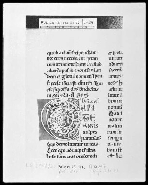 Bernhard von Clairvaux, Sermones in Cantitum Canticorum — Initiale C (apite), Folio 59 verso