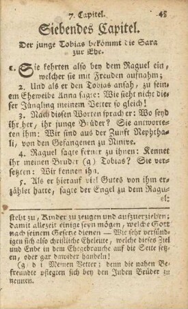 Siebendes Capitel.