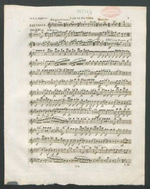 Flauto piccolo