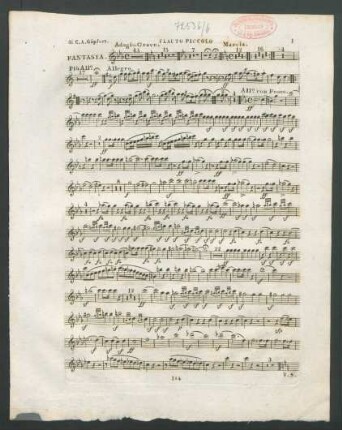 Flauto piccolo