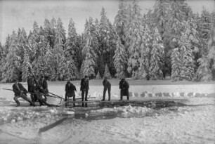 Eisschneiden auf dem Tiefenbacher Teich