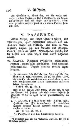 V. Passeres