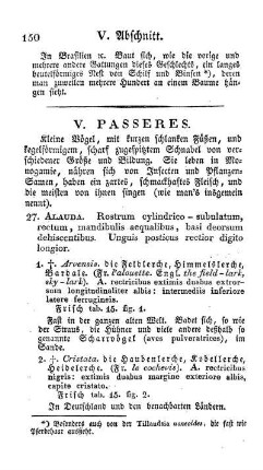 V. Passeres