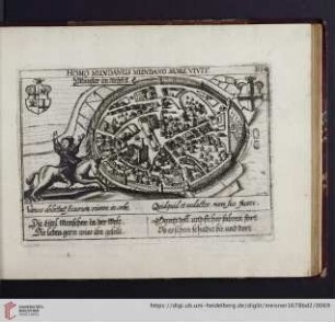 B34. Münster im Meyfelt, "Homo mundanus mundano more vivit"