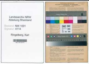 Entnazifizierung Karl Ringelberg, geb. 09.06.1905 (Kaufmann)
