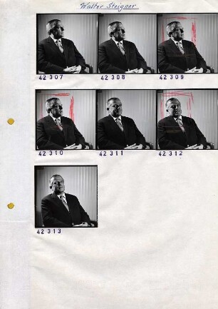 Portraitserie Walter Steigner