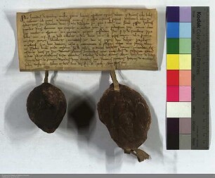 Hartrad von Merenberg entsagt seinen lehnsherrlichen Rechten auf den halben Zehnten zu Dudenhofen, welcher der bisher damit belehnte Ritter Dimar ...