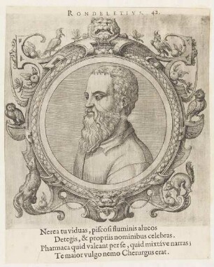 Bildnis des Wilhelm Rondelet