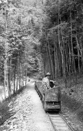 Wieden: Waldbahn, Lorenzug kommt