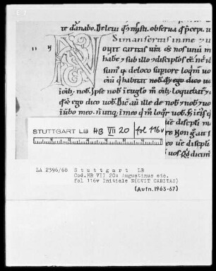 Augustinus etcetera, Sermones — Initiale N(OVIT CARITAS), Folio 116verso