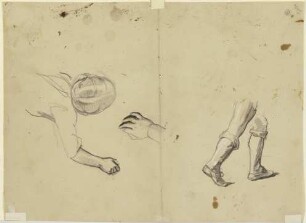 Studienblatt: Kopf, Hand, Beinpaar