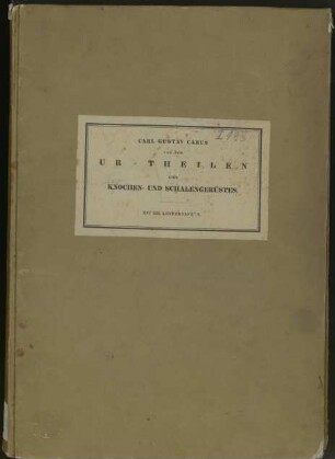 Von den Ur-Theilen des Knochen- und Schalengerüstes