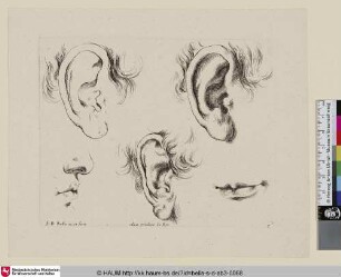 [Drei Ohrenstudien und Studien von Nase und Mund; Trois oreilles, ..., un profil de visage ... et une bouche; Three studies of ears ... a mouth ... and a profile ...]
