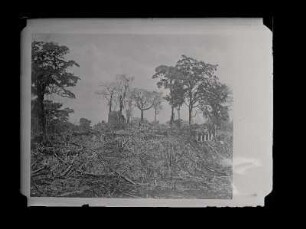 [View of the Palace, looking north west] : [Archaeology, Vol. IV., Plate 48]